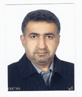 پروفسور دکتر رضا امیر نیا