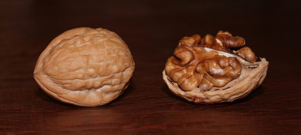 ترک خوردگی پوست سبز رنگ گردو