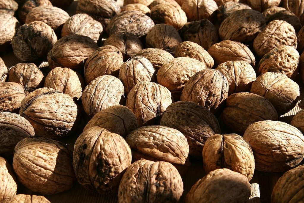 مفرفی ارقام گردو