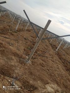بازدید و مشاوره دکتر پژوهان و مهندس مهدی به کشت و صنعت طرب رسان دشت ارس بهمن 1402
